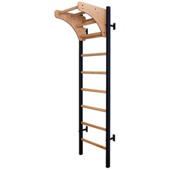 Деревянно-металлическая гимнастическая лестница - BenchK 211B цена и информация | Шведские стенки | kaup24.ee