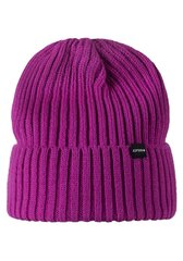 Детская шапка Icepeak Havre 52830-2*635 6438522944092, фуксия  цена и информация | Шапки, перчатки, шарфы для девочек | kaup24.ee
