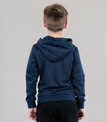 Детская толстовка Puma Active Sports 670859*43 4064537776933, тёмно-синяя /желтая  цена и информация | Свитеры, жилетки, пиджаки для мальчиков | kaup24.ee