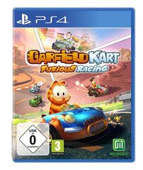 Garfield Kart Furious Racing - [PlayStation 4] цена и информация | Компьютерные игры | kaup24.ee