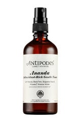 Õrn antioksüdantne nahatoonik Ananda (Gentle Toner) 100 ml hind ja info | Näopuhastusvahendid | kaup24.ee