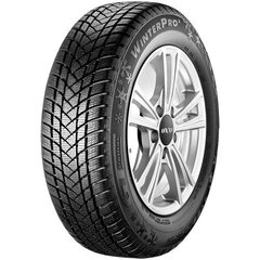 GT RADIAL CHAMPIRO WINTERPRO 2 245/65 17 111H цена и информация | Зимние шины | kaup24.ee