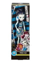 Monster High nukk Frankie Stein hind ja info | Tüdrukute mänguasjad | kaup24.ee