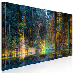 Pilt - Pond in the Forest (1 Part) Narrow 150x50 cm hind ja info | Seinapildid | kaup24.ee