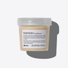 Восстанавливающий кондиционер для поврежденных волос Davines Essential Haircare Nounou Conditioner, 250 мл цена и информация | Бальзамы, кондиционеры | kaup24.ee