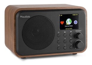 Радиобудильник Audizio Venice цена и информация | Радиоприемники и будильники | kaup24.ee