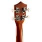 MAX UKEY Ukulele komplekt Soprano 21" tume puit hind ja info | Kitarrid | kaup24.ee