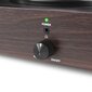 Fenton RP106DW plaadimängija tume puit hind ja info | Vinüülplaadimängijad ja grammofonid | kaup24.ee