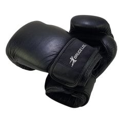 Poksikindad Bruce Lee Allround Boxing Gloves Pro, 16 oz цена и информация | Боевые искусства | kaup24.ee