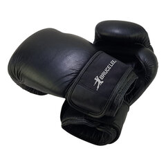 Poksikindad Bruce Lee Allround Boxing Gloves Pro, 12 oz цена и информация | Боевые искусства | kaup24.ee