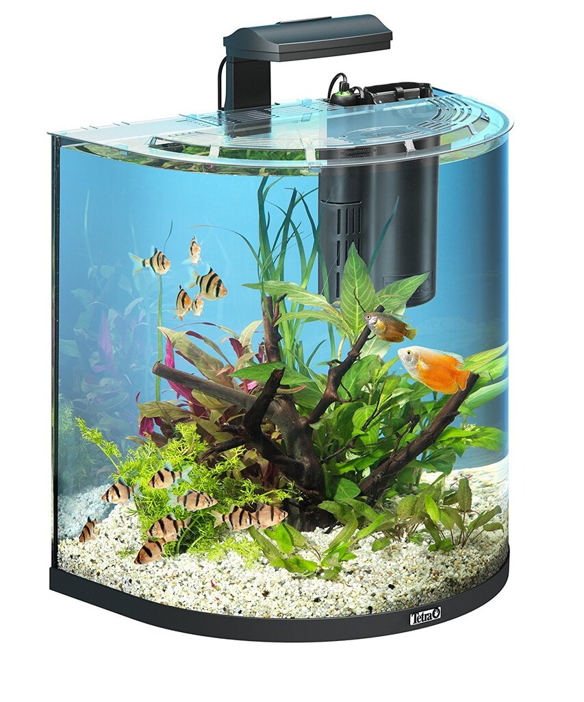 Akvaarium Tetra AquaArt Explorer Line, 60 l hind ja info | Akvaariumid ja seadmed | kaup24.ee