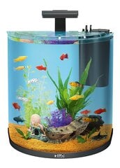 Akvaarium Tetra AquaArt Explorer Line, 60 l цена и информация | Аквариумы и оборудование | kaup24.ee