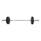 Kang Tunturi Functional Training Olympic Bar, 20 kg цена и информация | Hantlid, kangid, raskused | kaup24.ee