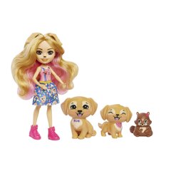 Семейный набор Enchantimals® Gerika Golden Retriever® HHB85 цена и информация | MUST Металлическая бутылочка с Ярким рисунком (без BPA) (500ml) для мальчиков от 3+ лет Серая с Машинкой | kaup24.ee