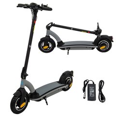 Электрический скутер 36v 500w, серебристый цена и информация | Электросамокаты | kaup24.ee