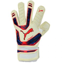 Puma Evo Power Grip 2 RC 040998 15 вратарских пистолетов цена и информация | Перчатки вратаря | kaup24.ee