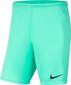 Meeste lühikesed püksid Nike Dry Park III NB K mint BV6855 354 hind ja info | Meeste lühikesed püksid | kaup24.ee