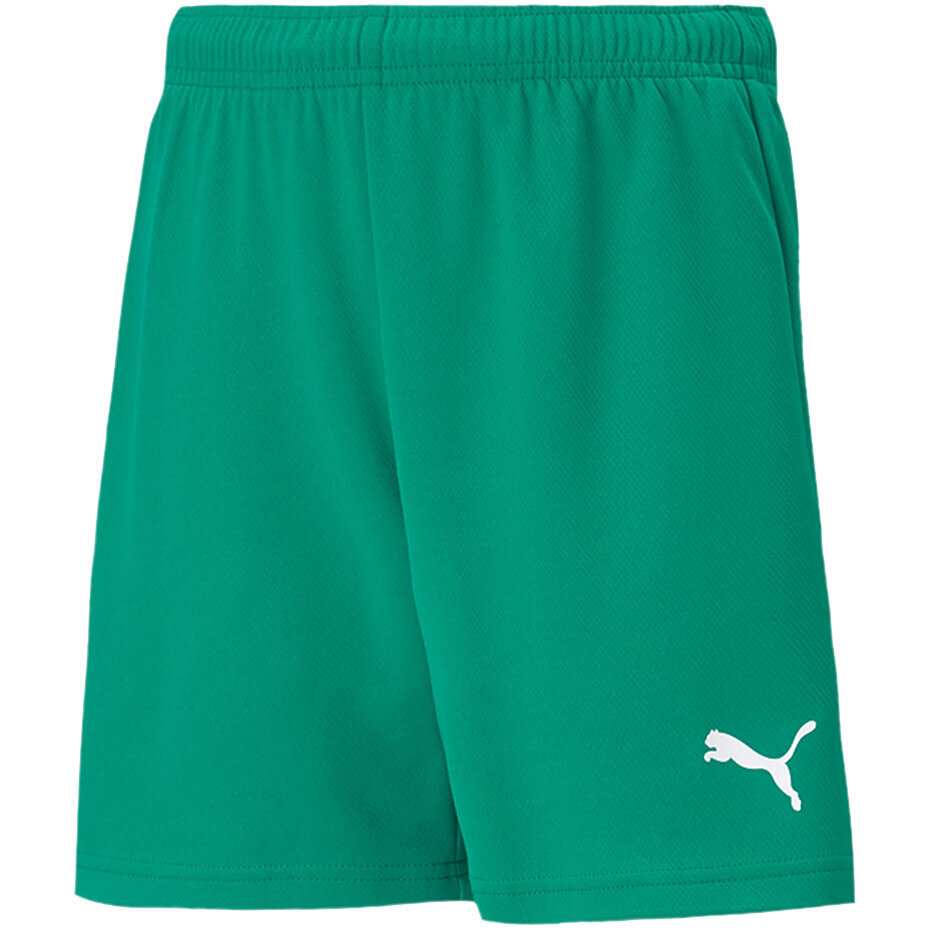 Laste lühikesed püksid Puma teamRISE Short Jr roheline 704943 05 hind ja info | Poiste lühikesed püksid | kaup24.ee