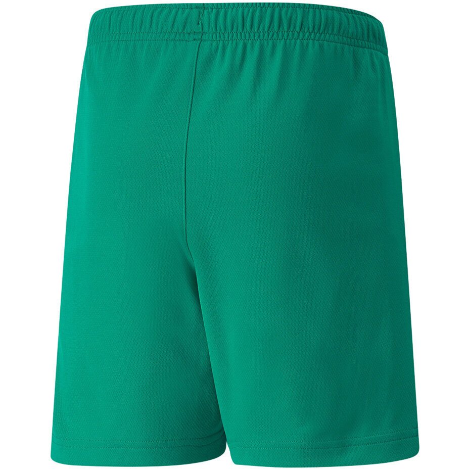 Laste lühikesed püksid Puma teamRISE Short Jr roheline 704943 05 hind ja info | Poiste lühikesed püksid | kaup24.ee