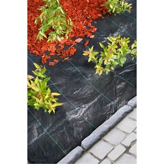 Agroplėvelė Nature 6030300, 1x10 m цена и информация | Садовые инструменты | kaup24.ee