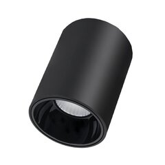 Потолочный черный светодиодный светильник TULSA 20W  цена и информация | Потолочные светильники | kaup24.ee
