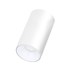 Plafoonikujuline valge LED lamp "TULSA" 10W hind ja info | Laelambid | kaup24.ee