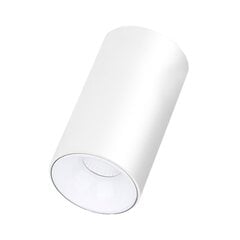 Plafoonikujuline valge LED lamp "TULSA" 15W цена и информация | Потолочные светильники | kaup24.ee