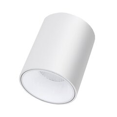 Plafoonikujuline valge LED lamp "TULSA" 20W цена и информация | Потолочные светильники | kaup24.ee