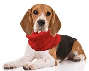 Теплый и красивый круглый шарф для собаки из мягкой полушерсти цена и информация | Одежда для собак | kaup24.ee