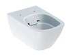 Seinale kinnitatav WC-pott aeglaselt suletava kaanega Geberit iCon Square 500.683.00.2 hind ja info | WС-potid | kaup24.ee