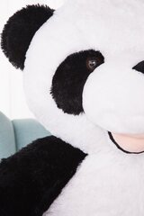 Suur Pehme Panda Pado 130 cm, Hall, Pehme Mänguasi цена и информация | Мягкие игрушки | kaup24.ee