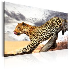 Изображение - Predatory Stare 90x60 см цена и информация | Картины, живопись | kaup24.ee
