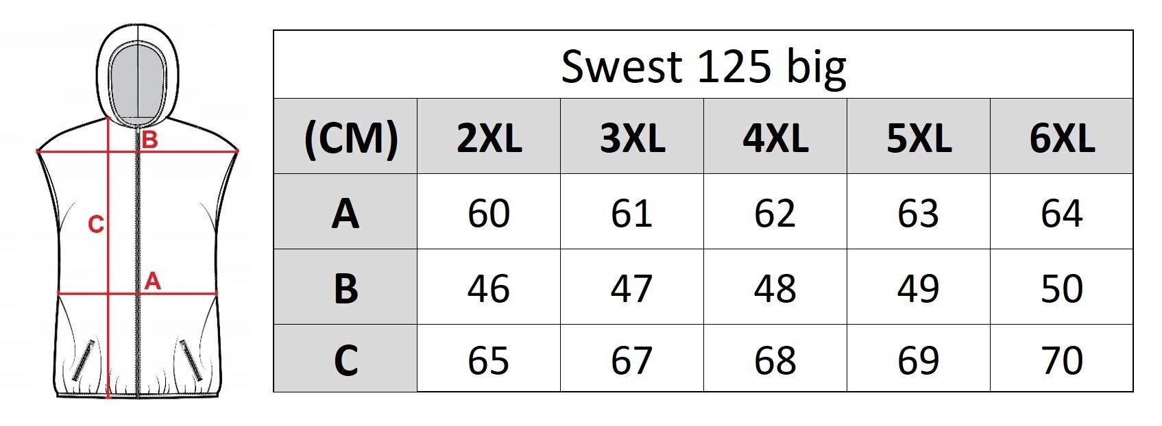 Meeste vest Swest 125, sinine цена и информация | Meeste vestid | kaup24.ee