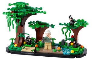 Конструктор 40530 LEGO® Jane Goodall Tribute цена и информация | Конструкторы и кубики | kaup24.ee