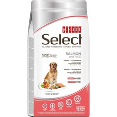 Select Adult Sensitive Salmon and Rice полноценный корм для взрослых собак 12кг цена и информация | Сухой корм для собак | kaup24.ee