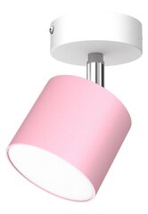 Настенный светильник DIXIE PINK/WHITE 1xGX53 цена и информация | Потолочные светильники | kaup24.ee