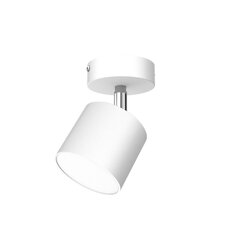 Настенный светильник DIXIE WHITE 1xGX53 цена и информация | Потолочные светильники | kaup24.ee