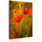 Pilt - The Awakening of Poppy 60x90 cm цена и информация | Seinapildid | kaup24.ee