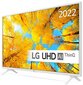 43" 4K LED TV LG 43UQ76903LE.AEU hind ja info | Telerid | kaup24.ee