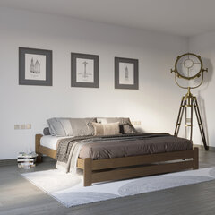 Кровать Paulina 160x200 цена и информация | Кровати | kaup24.ee