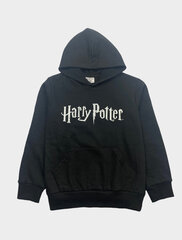 Детская толстовка Harry Potter цена и информация | Свитеры, жилетки, пиджаки для мальчиков | kaup24.ee