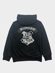 Laste pusa Harry Potter цена и информация | Свитеры, жилетки, пиджаки для мальчиков | kaup24.ee