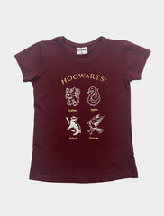 Tüdrukute T-särk Harry Potter hind ja info | Tüdrukute särgid | kaup24.ee