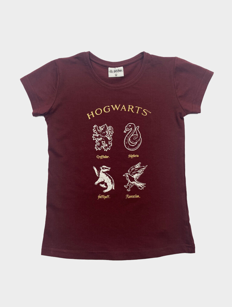 Tüdrukute T-särk Harry Potter цена и информация | Tüdrukute särgid | kaup24.ee
