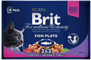 Brit Premium konservide komplekt Fish Plate, 4 x 100 g цена и информация | Кошачьи консервы | kaup24.ee