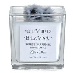 Ароматическая свеча Lothantique Givre Blanc, 200г цена и информация | Подсвечники, свечи | kaup24.ee