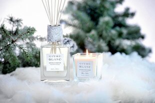 Lõhnaküünal Lothantique Givre Blanc, 200 g hind ja info | Küünlad, küünlajalad | kaup24.ee