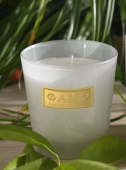 Ароматическая свеча Lothantique Theia, sage & linen, 160 г цена и информация | Подсвечники, свечи | kaup24.ee