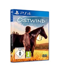 Ostwind - прибытие АРИС цена и информация | Компьютерные игры | kaup24.ee
