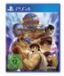 Street Fighter - aastapäeva kollektsioon [PlayStation 4] цена и информация | Arvutimängud, konsoolimängud | kaup24.ee